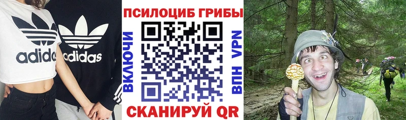 кракен сайт Александровск Псилоцибиновые грибы GOLDEN TEACHER где найти наркотики